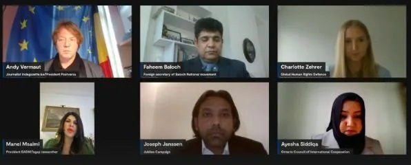 Screenshot of virtual side event