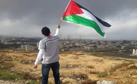 Boy holding Palestine flag