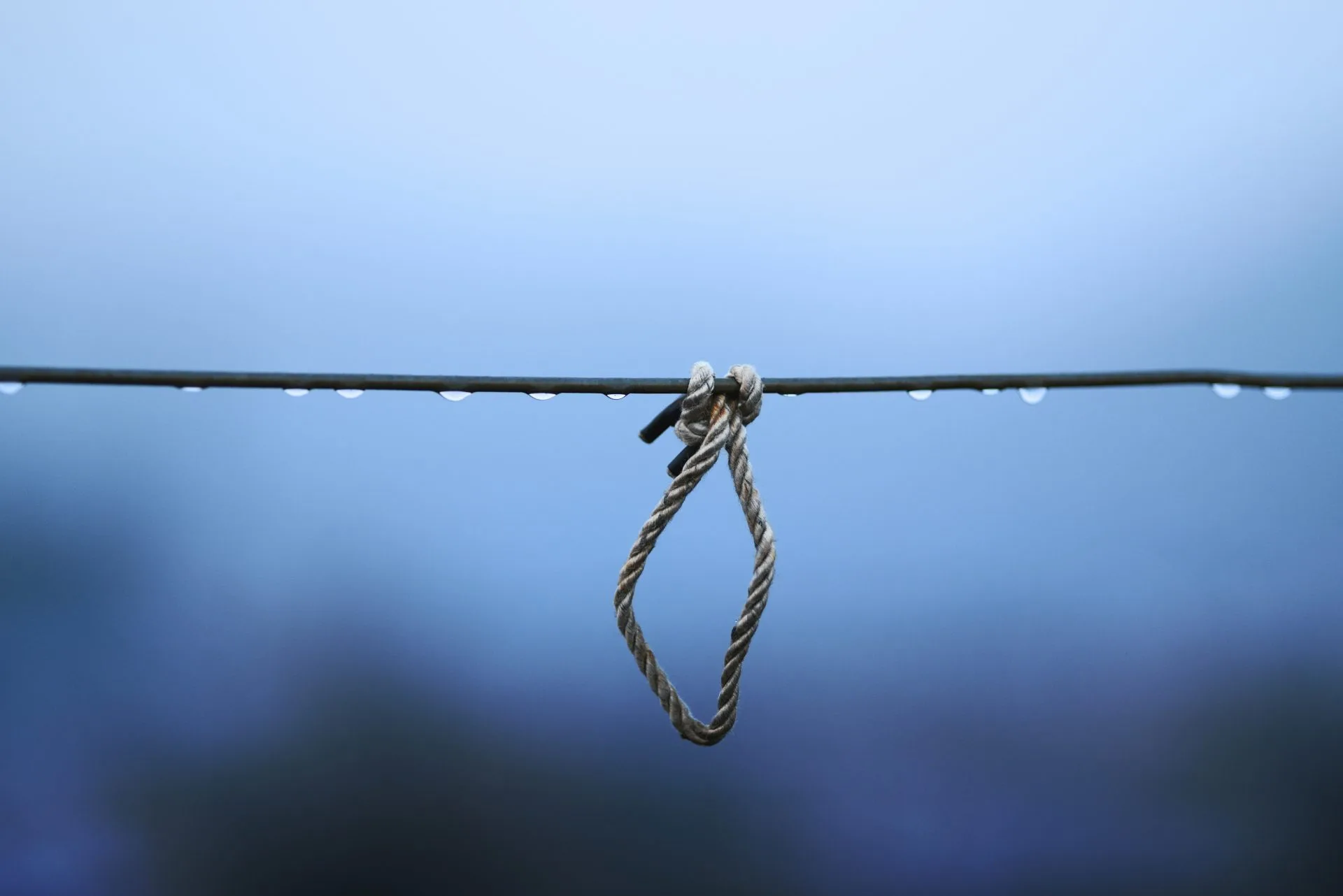 A Knot Hangs From Wet Wire.