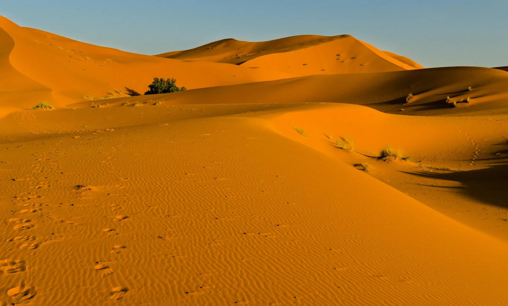 Western Sahara