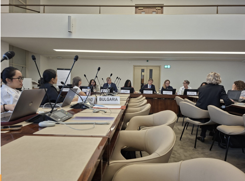 Panel of the HRC62 side event on the investigation of femicide at the Palais des Nations, Geneva, 22 June 2026, with Special Rapporteur Morris Tidball-Binz speaking at the centre of the head table.